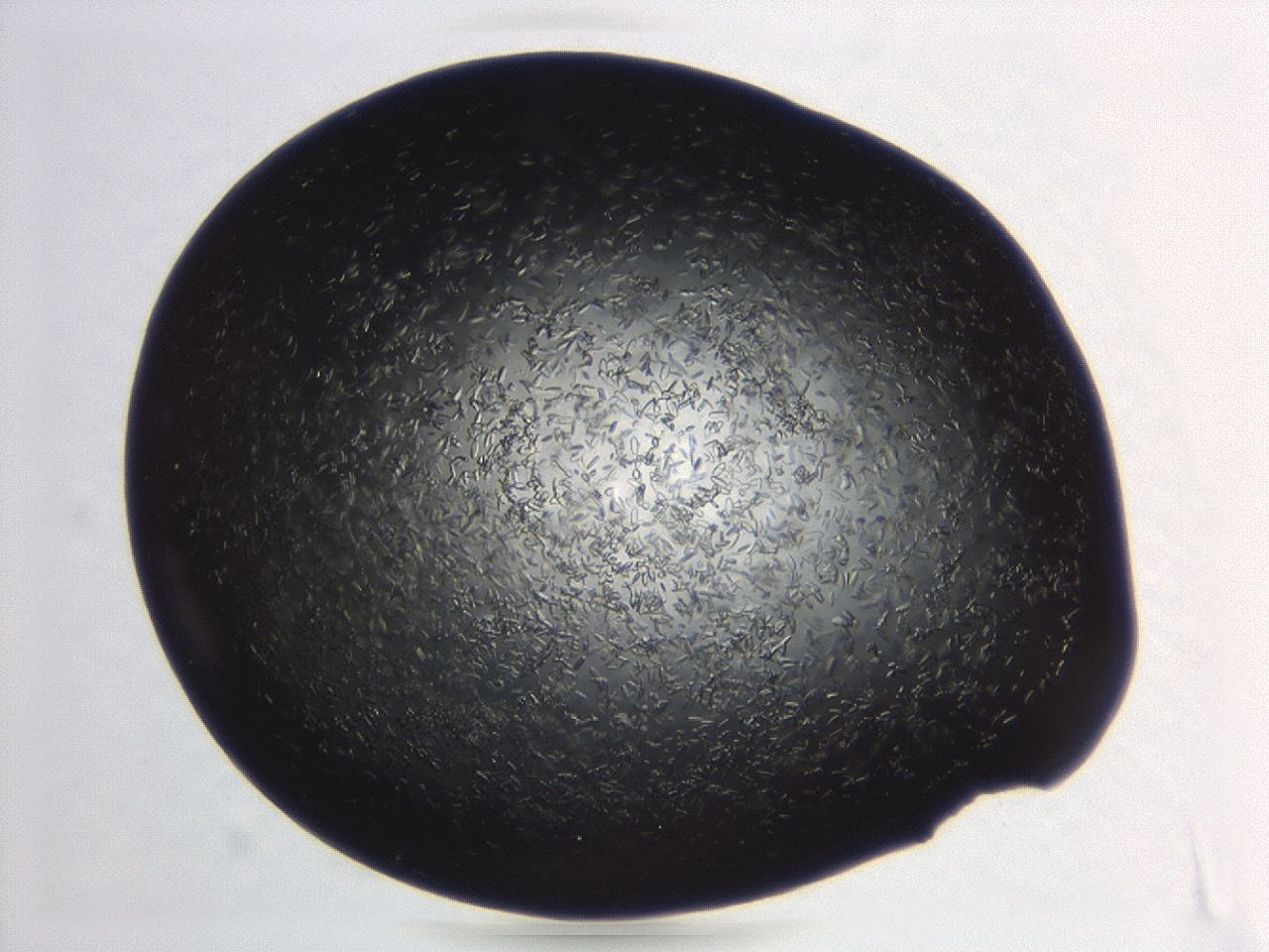 04er_B11_ImagerDefaults_8.jpg