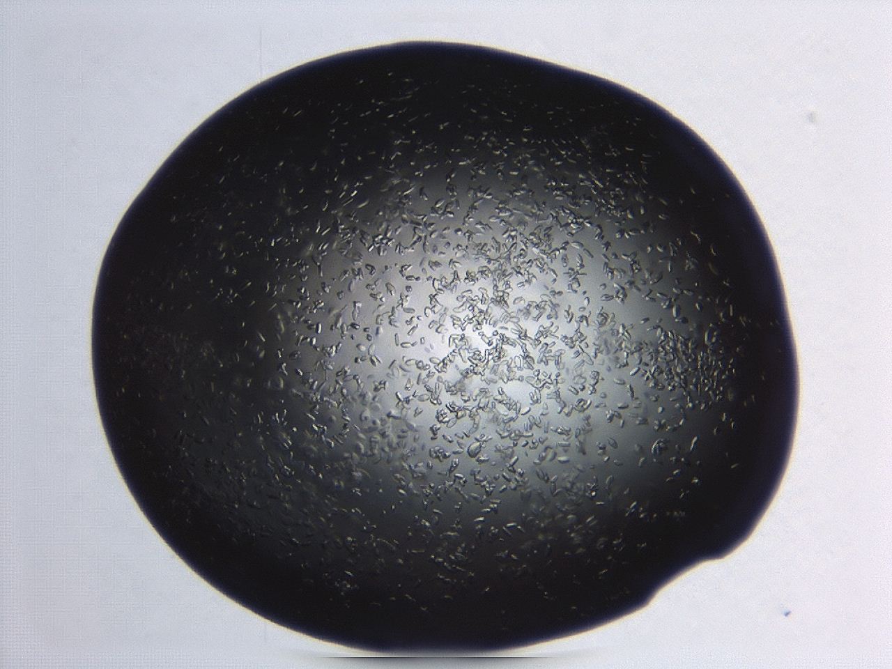 04er_B9_ImagerDefaults_8.jpg