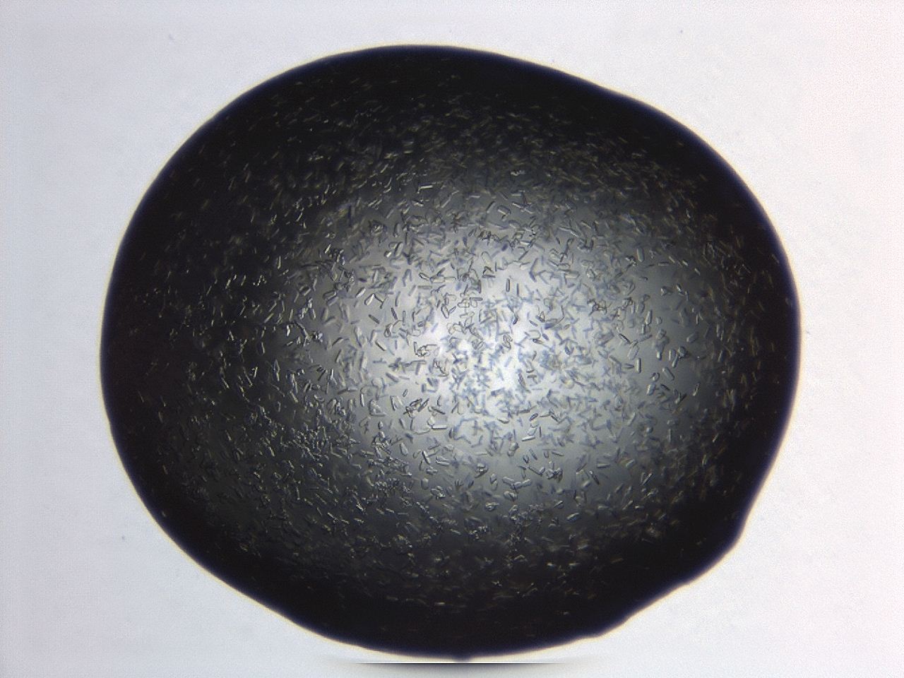 04er_B8_ImagerDefaults_8.jpg