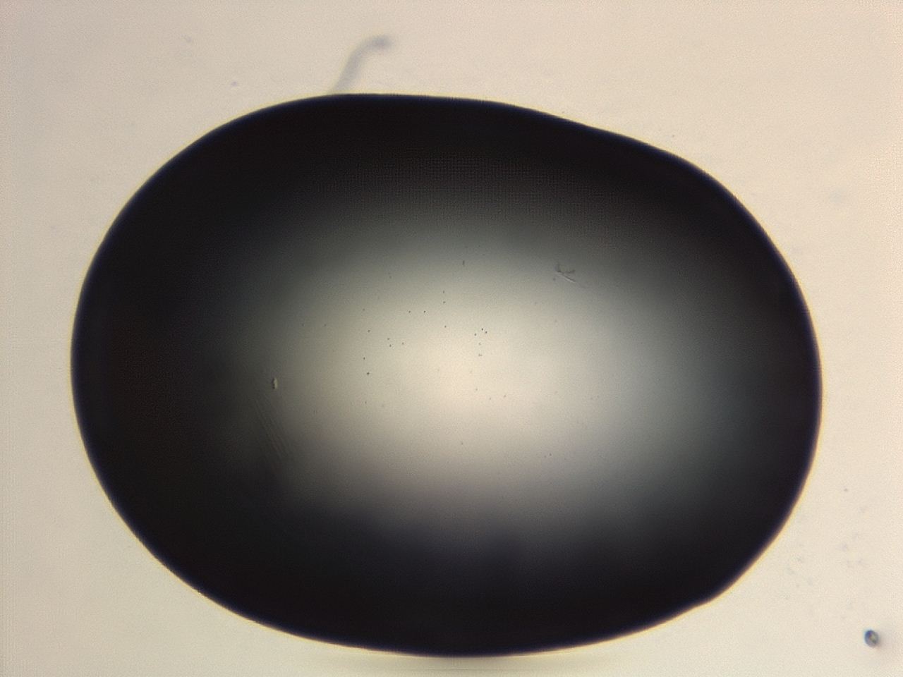 04er_B3_ImagerDefaults_3.jpg