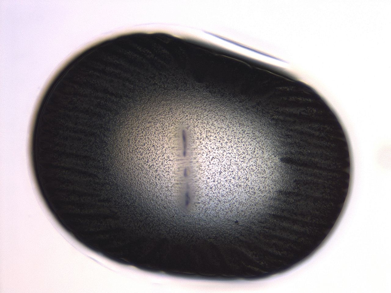 04er_B1_ImagerDefaults_3.jpg