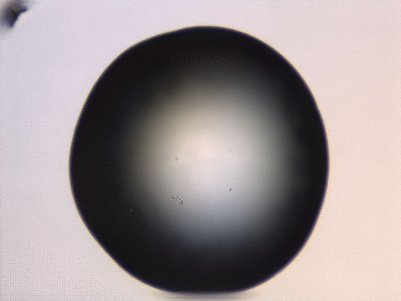 04er_C2_ImagerDefaults_0.jpg