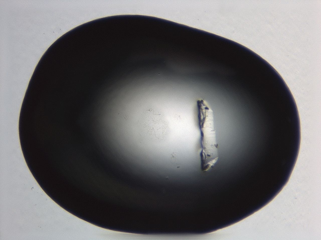 04er_C7_ImagerDefaults_0.jpg
