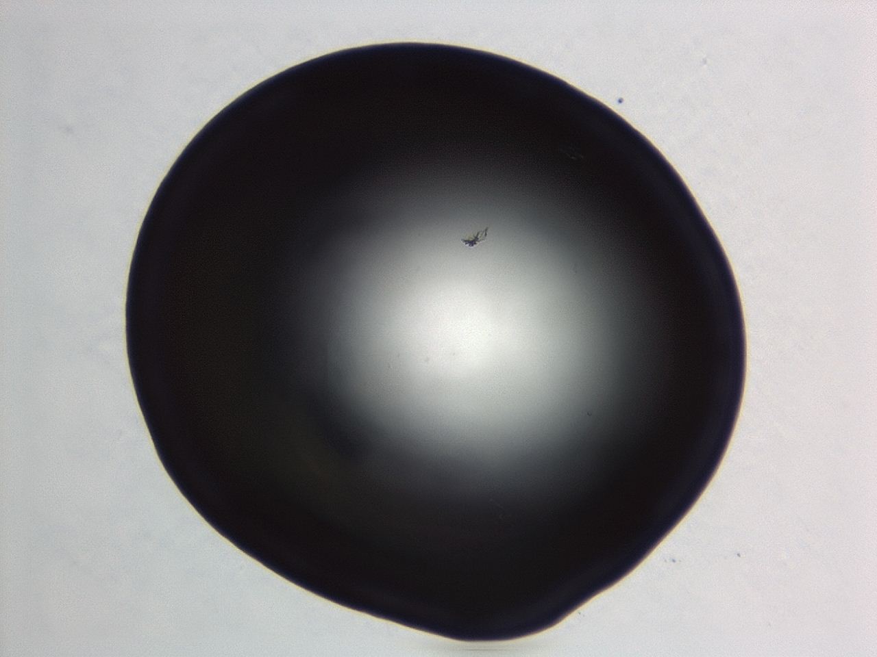 04er_C8_ImagerDefaults_0.jpg