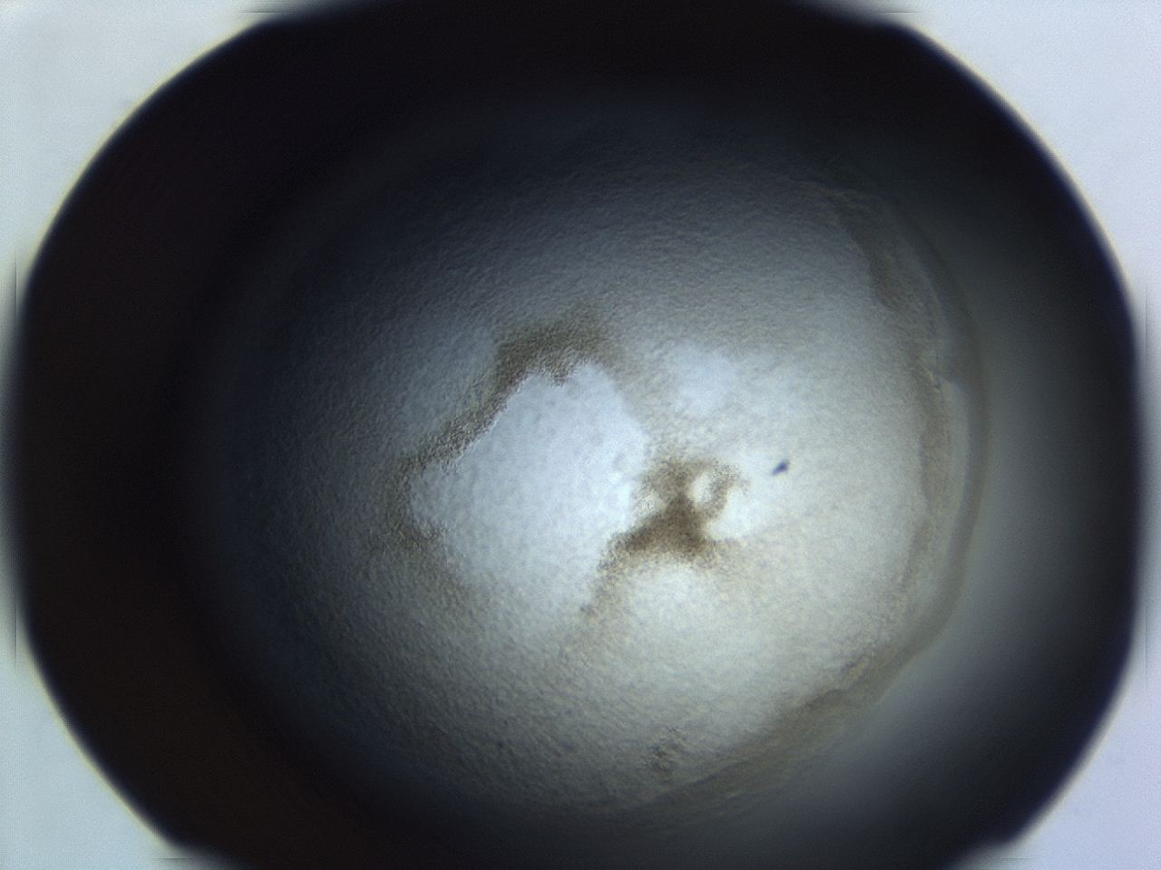 04er_E2_ImagerDefaults_3.jpg