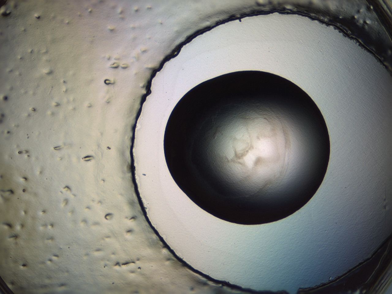 04er_E4_ImagerDefaults_3.jpg