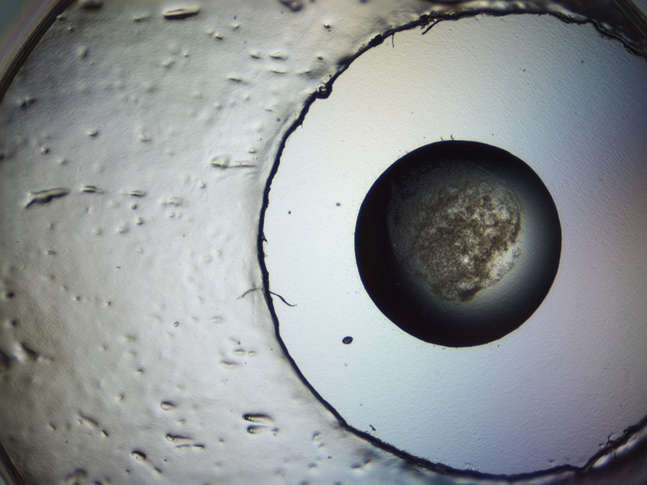 04er_E10_ImagerDefaults_3.jpg
