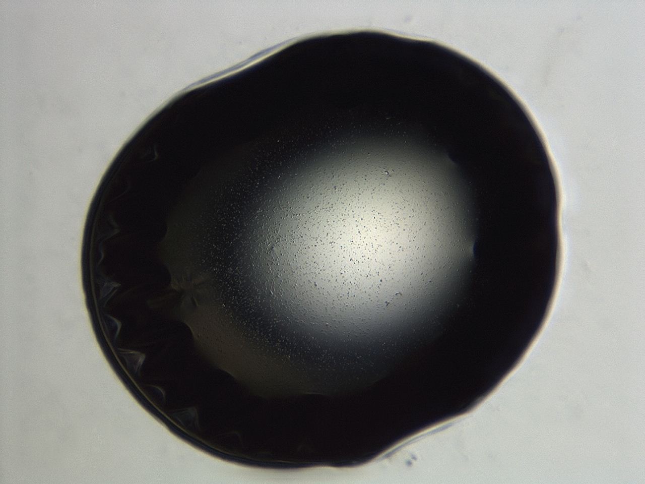 04er_E11_ImagerDefaults_0.jpg