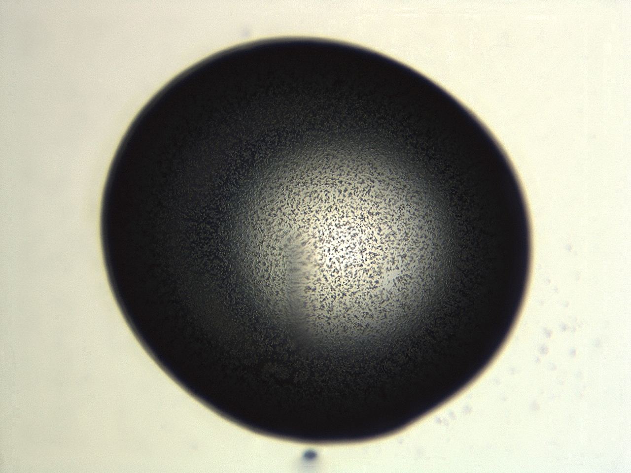 04er_F1_ImagerDefaults_3.jpg