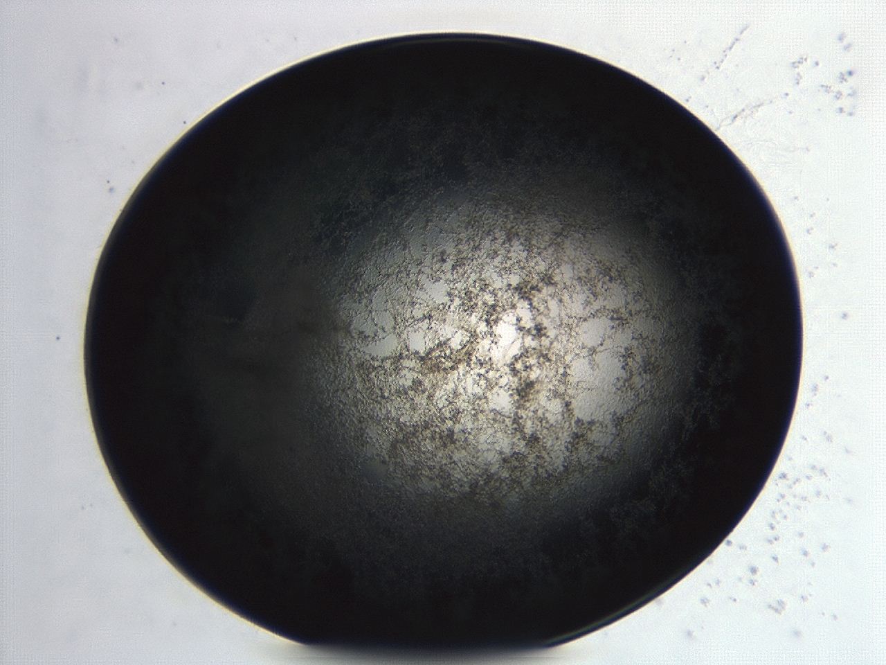 04er_F4_ImagerDefaults_3.jpg