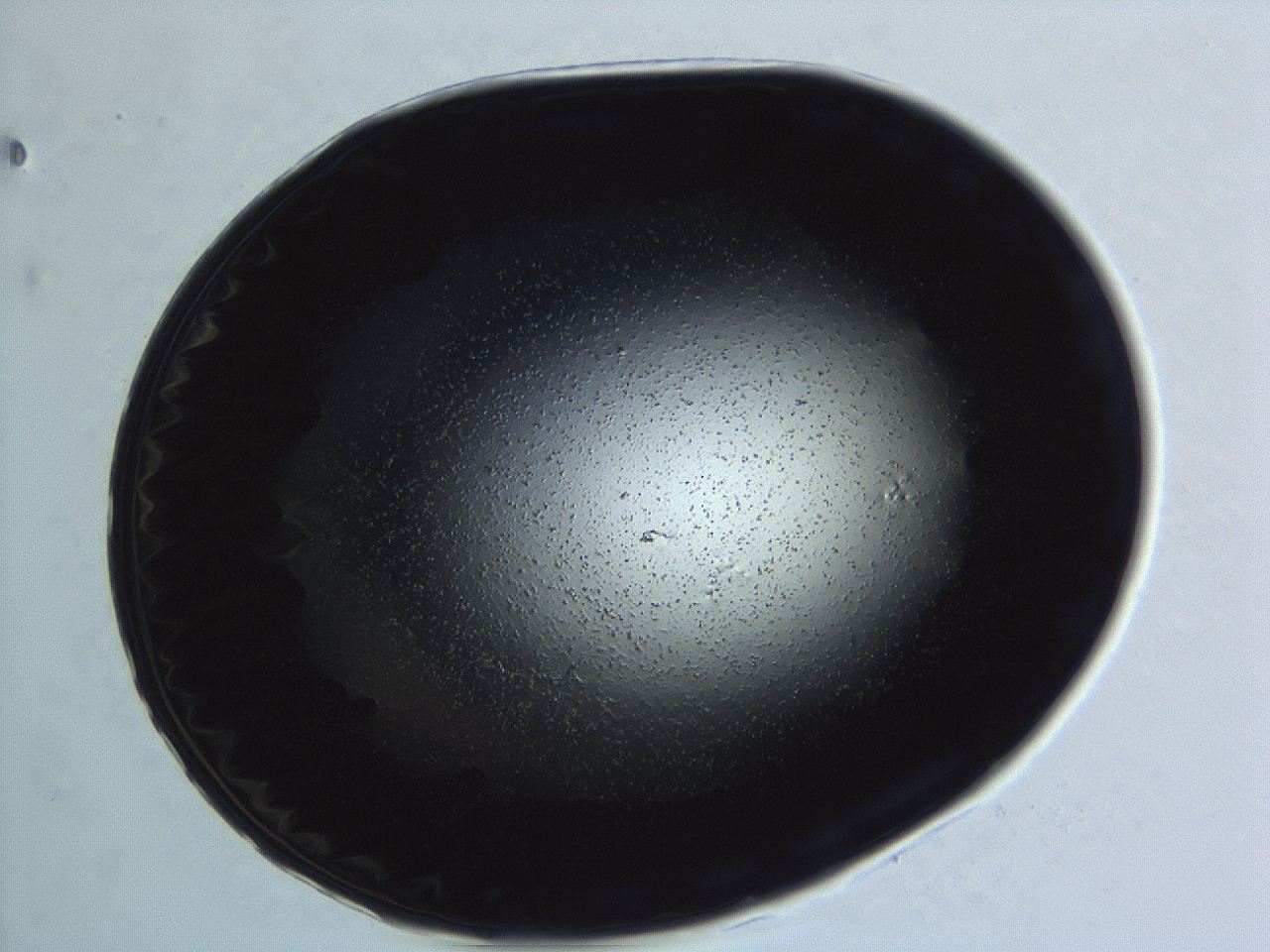 04er_F6_ImagerDefaults_0.jpg