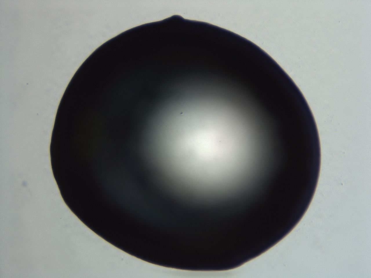 04er_F8_ImagerDefaults_0.jpg