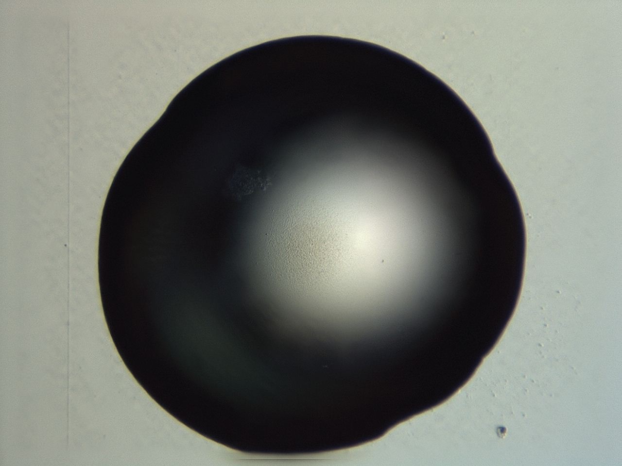 04er_F9_ImagerDefaults_0.jpg
