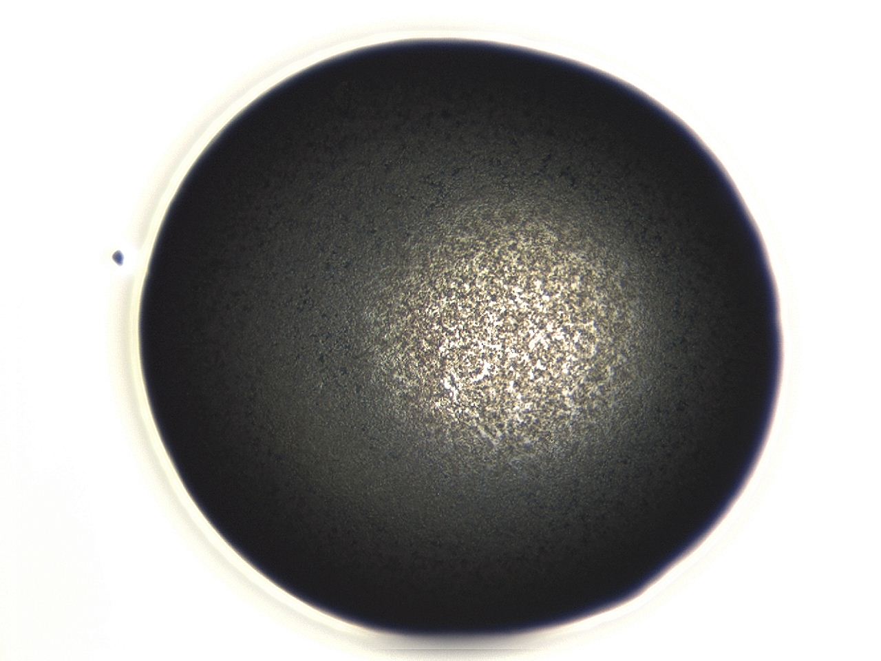 04er_F11_ImagerDefaults_3.jpg