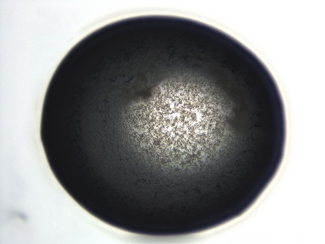 04er_F12_ImagerDefaults_3.jpg