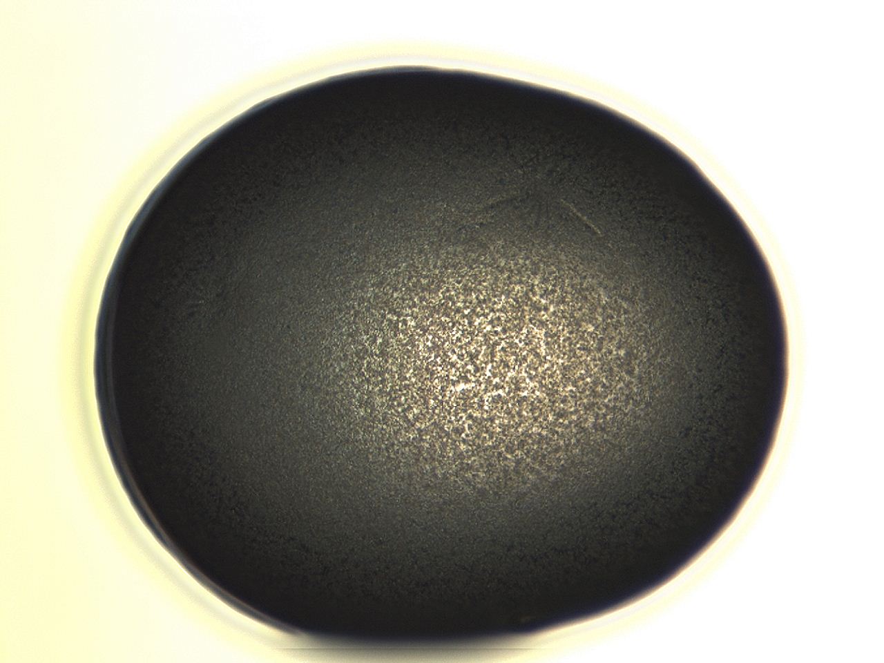 04er_G2_ImagerDefaults_3.jpg