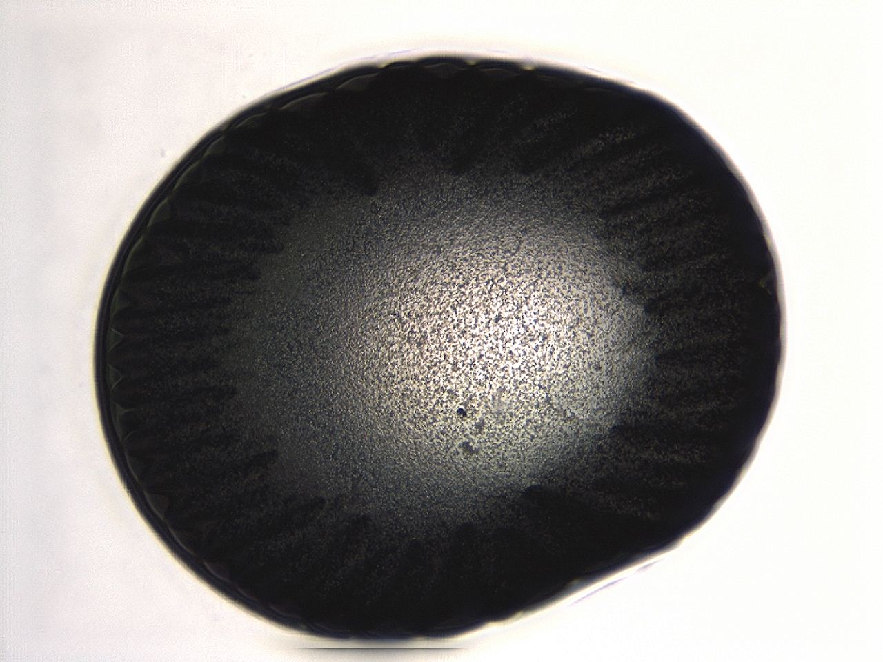 04er_G4_ImagerDefaults_3.jpg