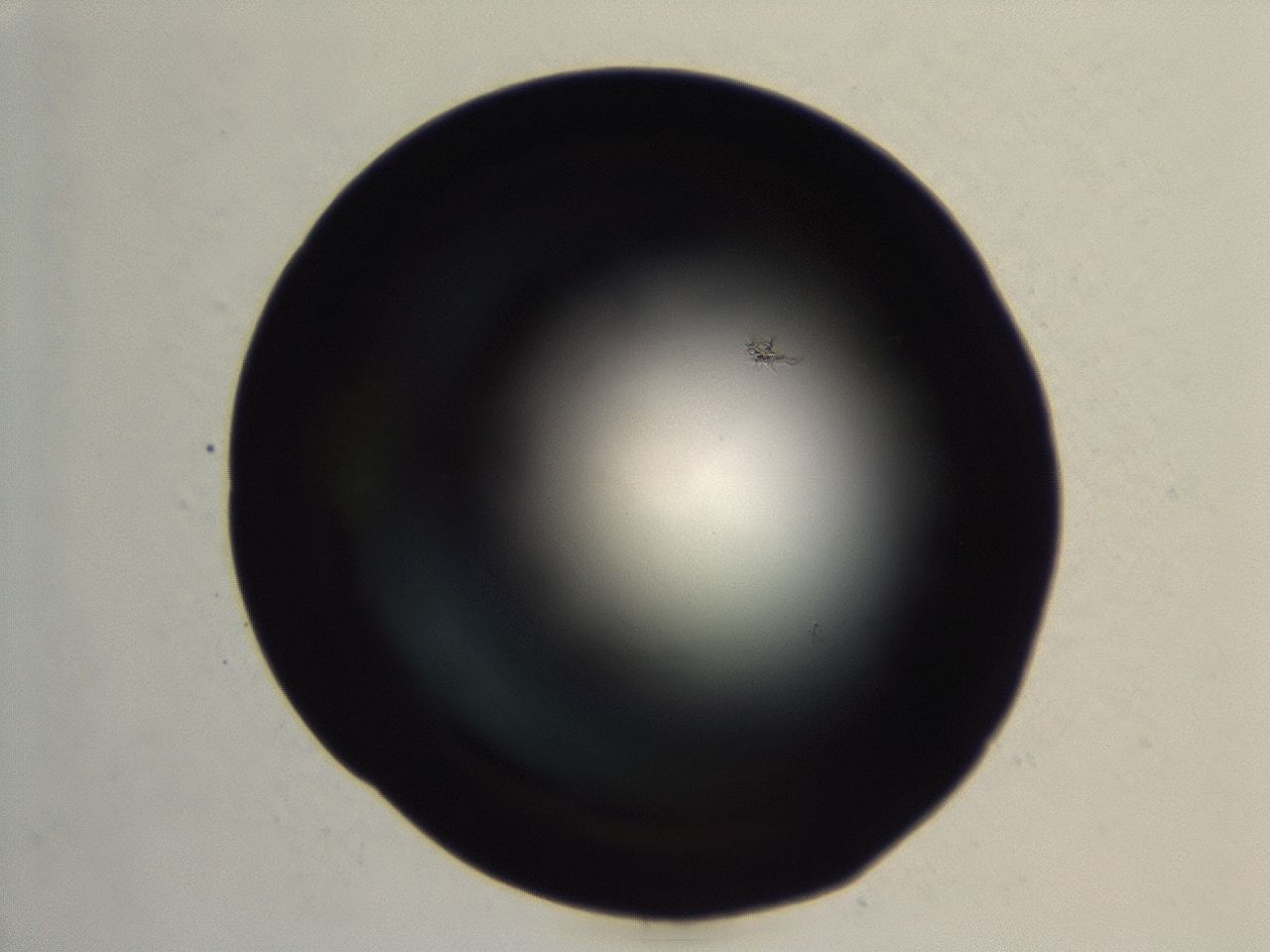 04er_G8_ImagerDefaults_0.jpg