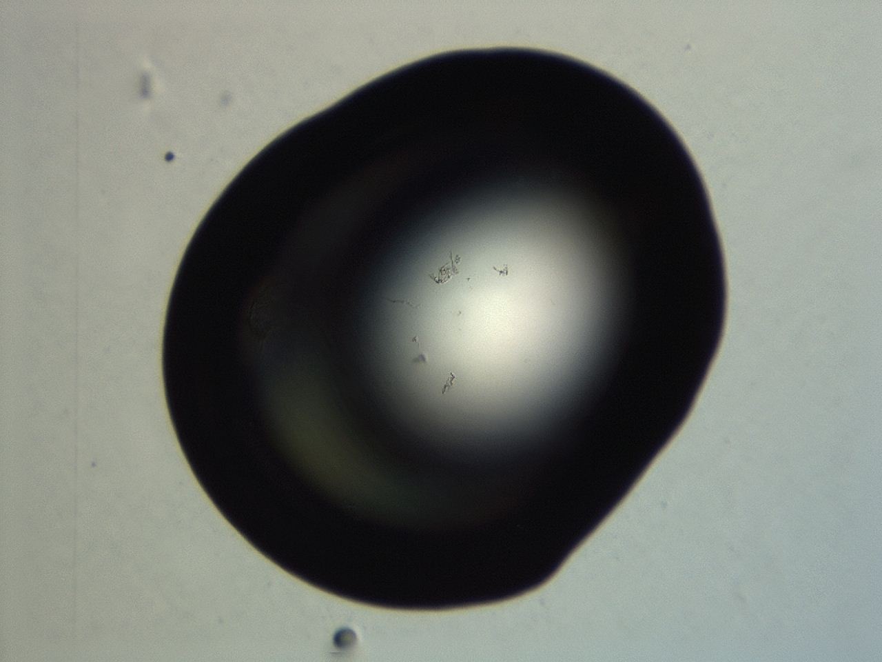 04er_G9_ImagerDefaults_0.jpg