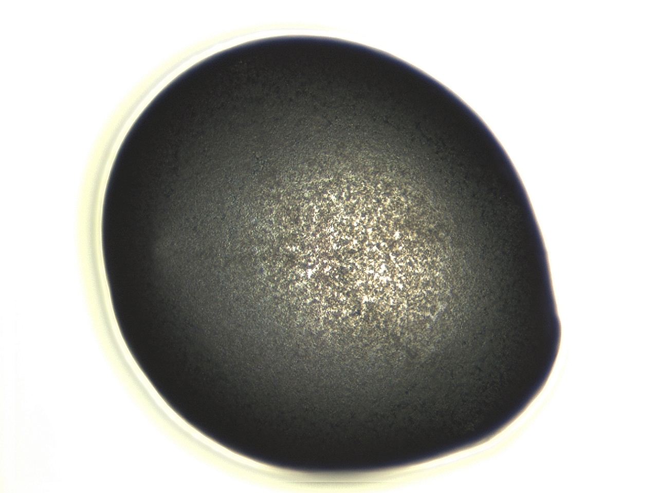 04er_G10_ImagerDefaults_3.jpg