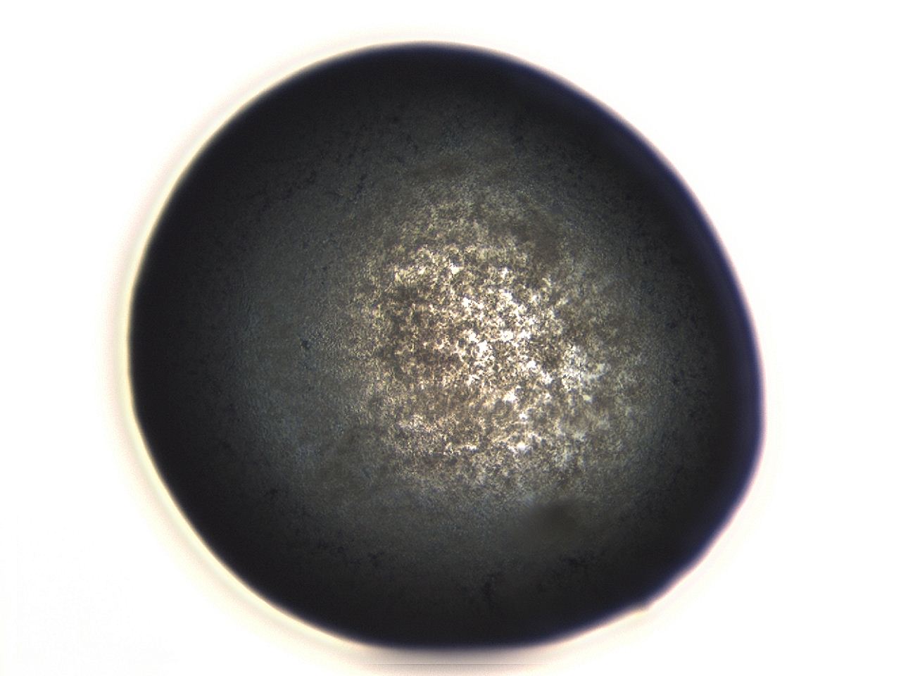04er_G12_ImagerDefaults_3.jpg