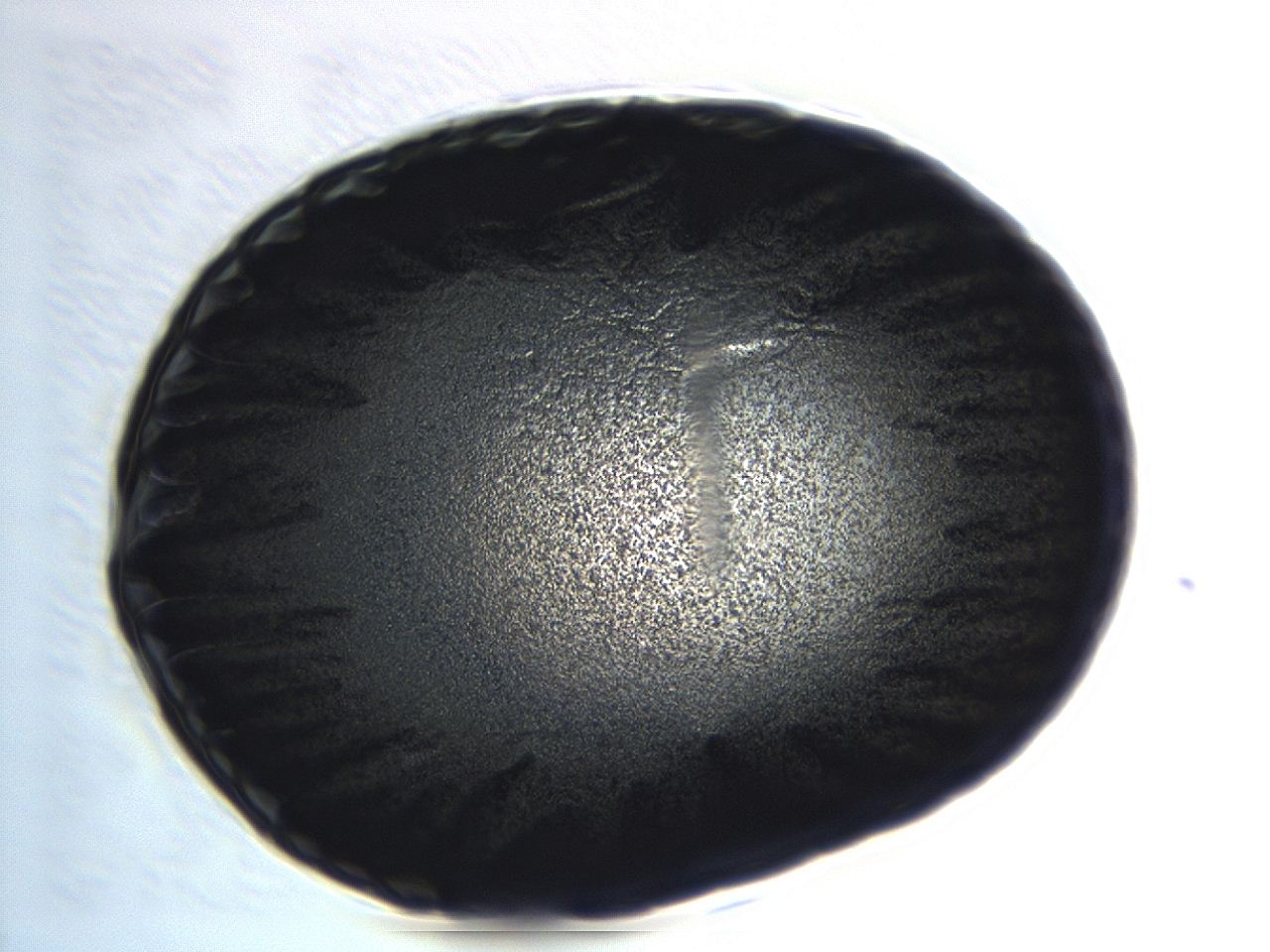 04er_H1_ImagerDefaults_3.jpg