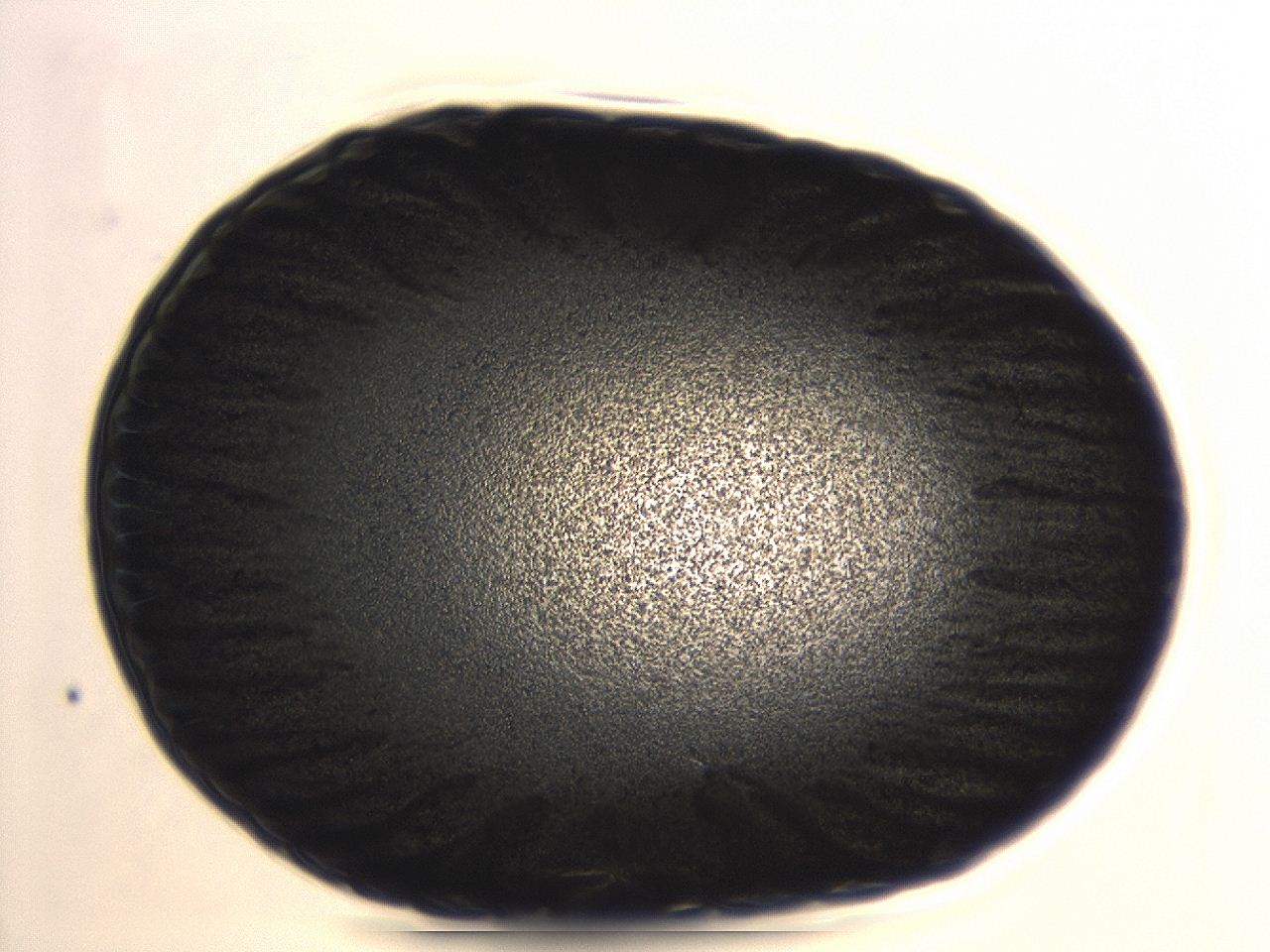 04er_H2_ImagerDefaults_3.jpg
