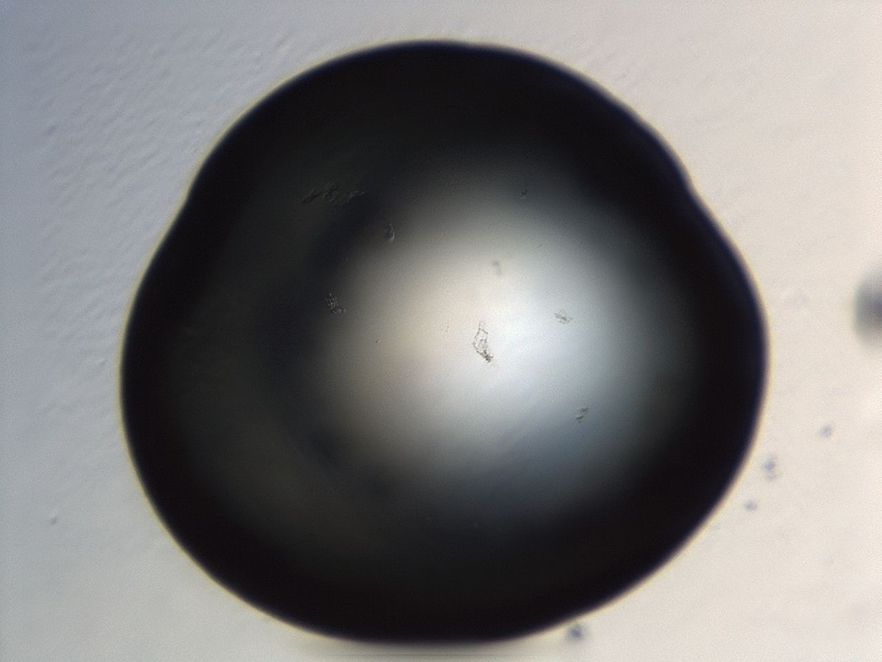 04er_H4_ImagerDefaults_0.jpg