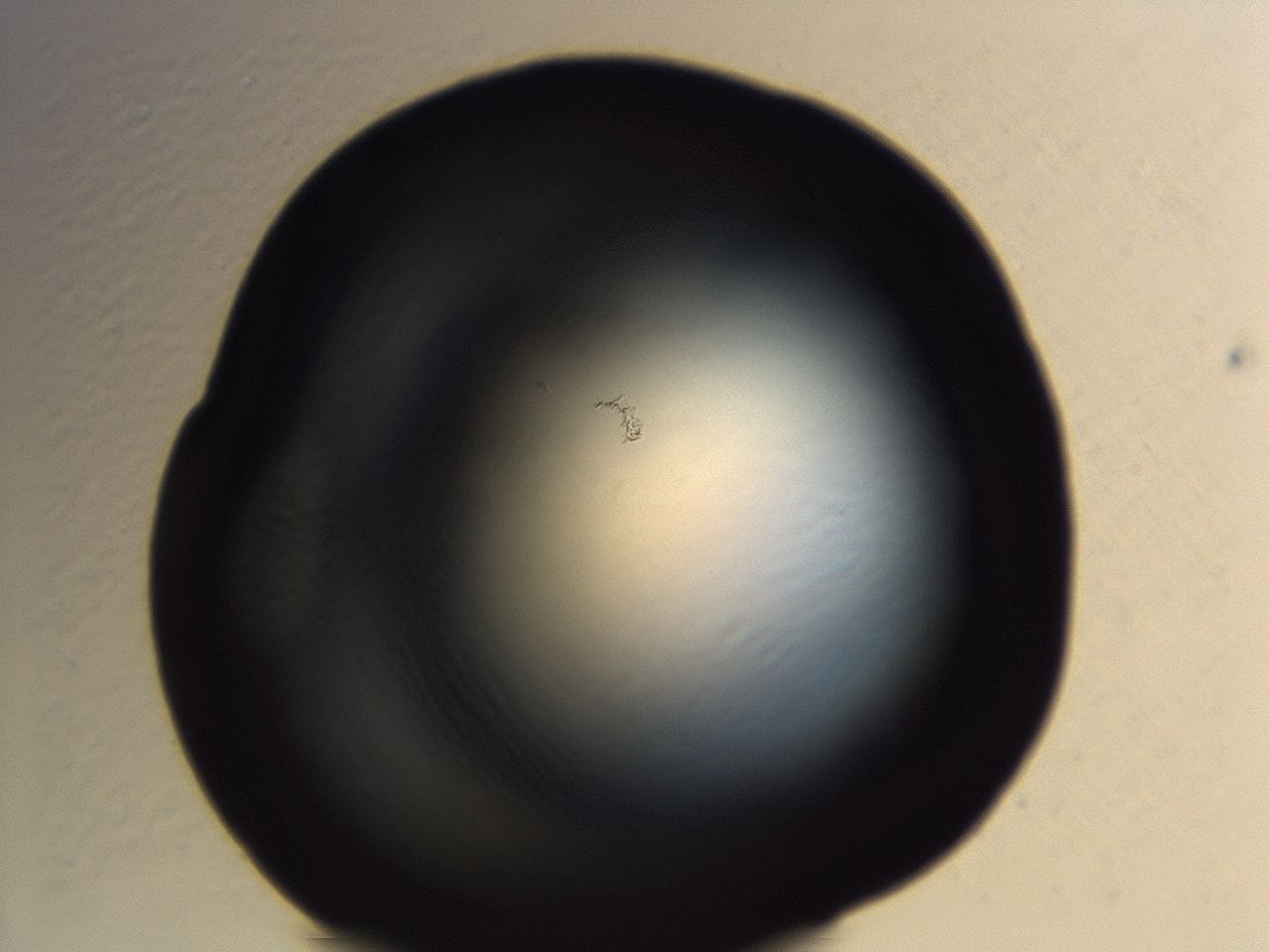 04er_H8_ImagerDefaults_0.jpg