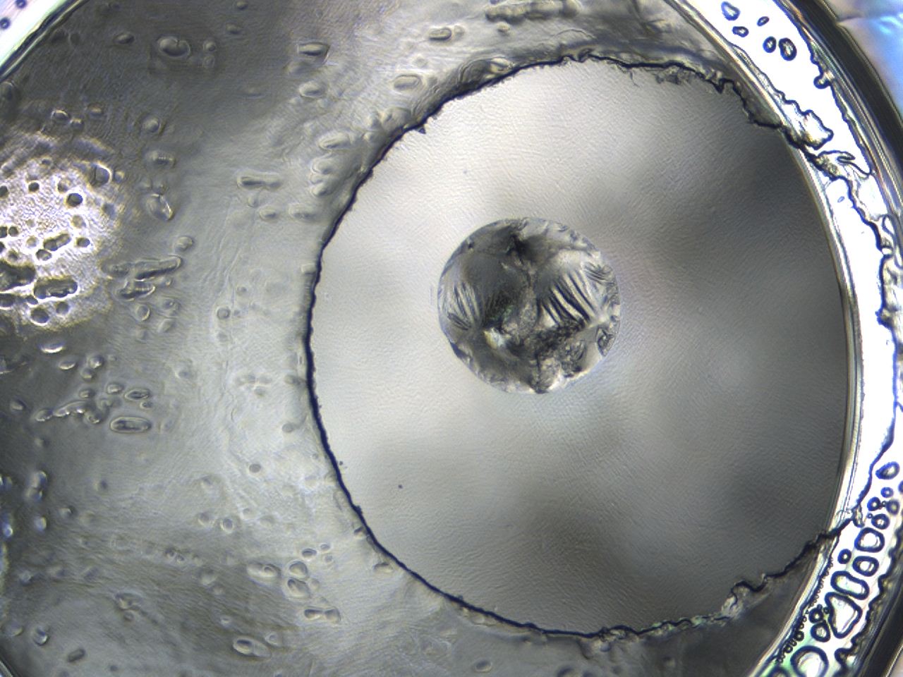 04er_H11_ImagerDefaults_0.jpg