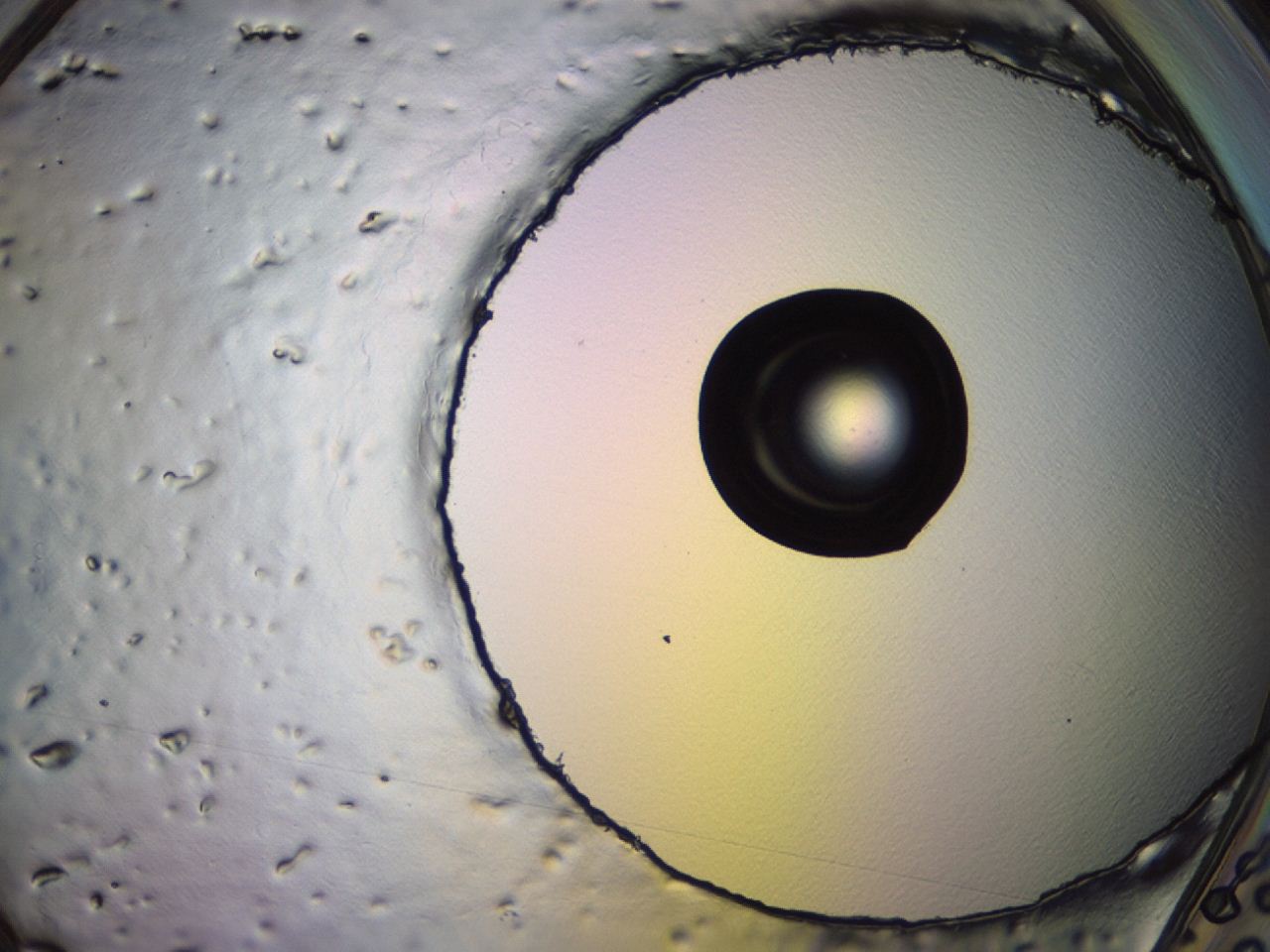 04er_H10_ImagerDefaults_0.jpg