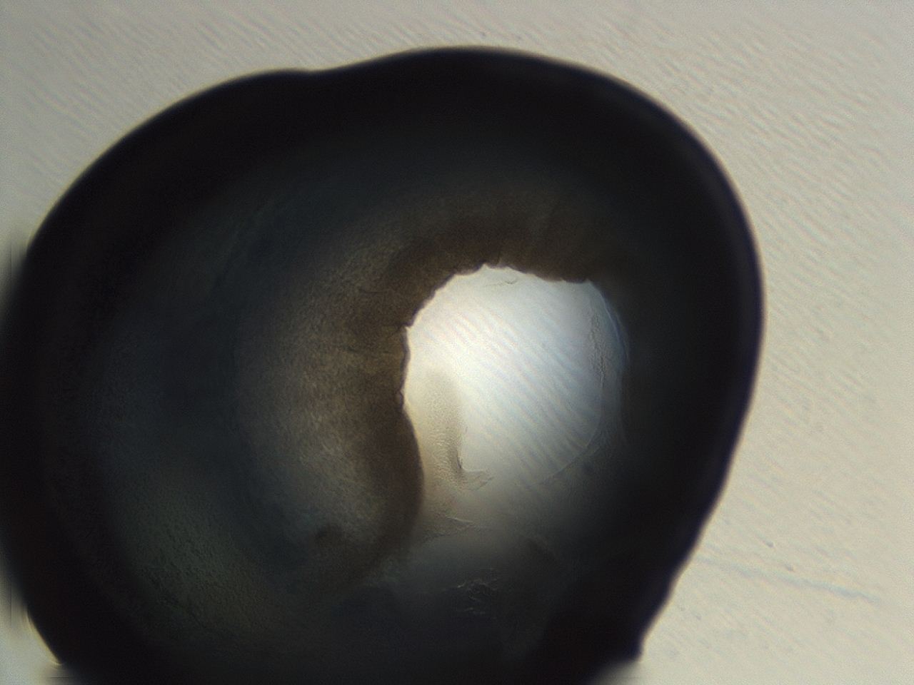 04er_H9_ImagerDefaults_3.jpg