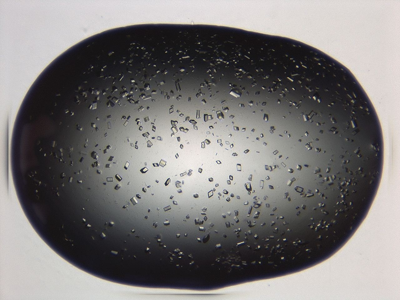 04es_A3_ImagerDefaults_8.jpg