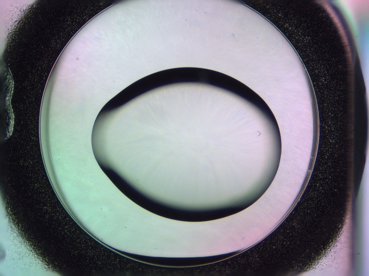 0172_B6_ImagerDefaults_0.jpg