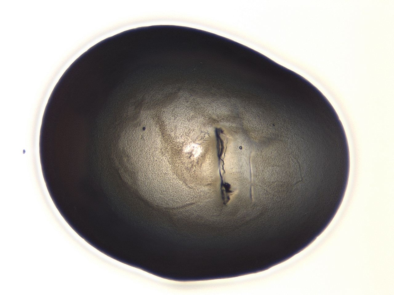 04es_A1_ImagerDefaults_3.jpg