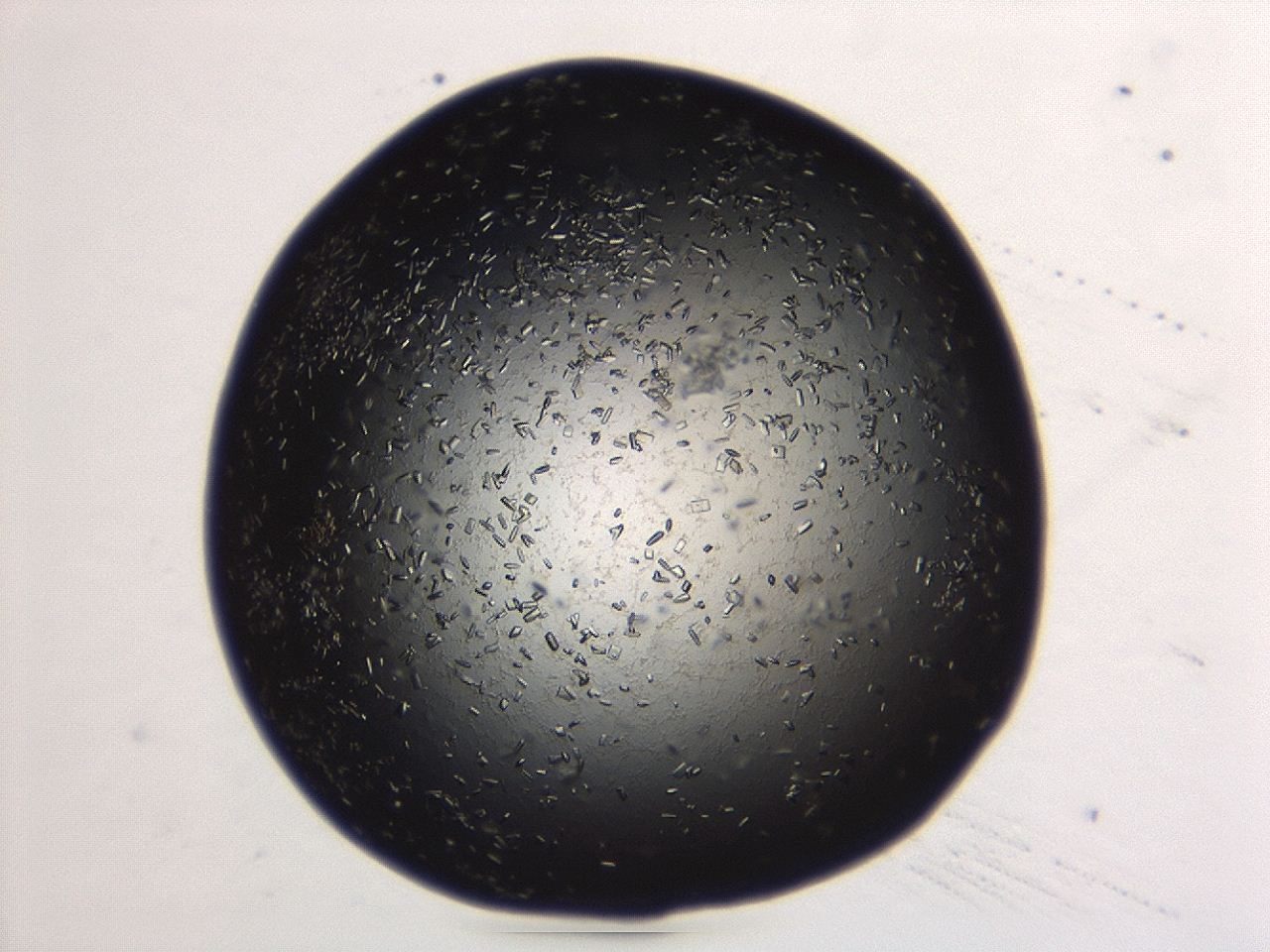 04es_A6_ImagerDefaults_8.jpg