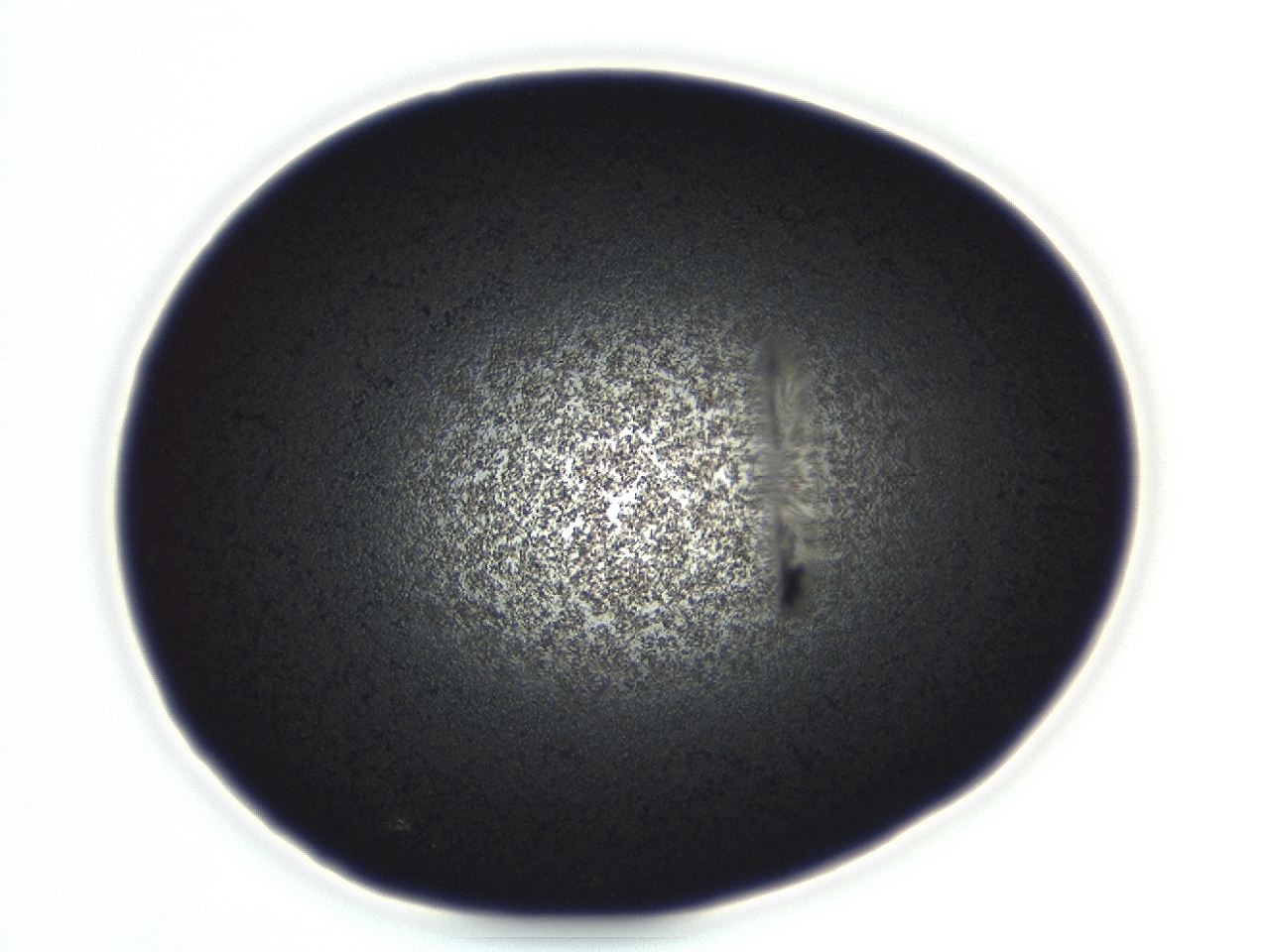 04es_D1_ImagerDefaults_3.jpg