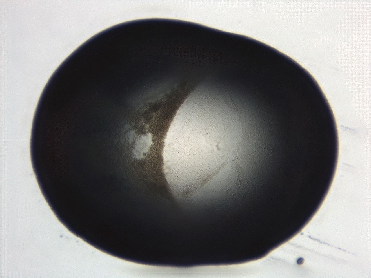 04es_D4_ImagerDefaults_3.jpg