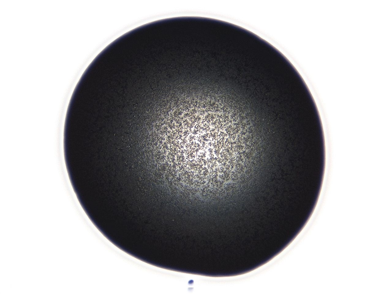 04es_D6_ImagerDefaults_3.jpg