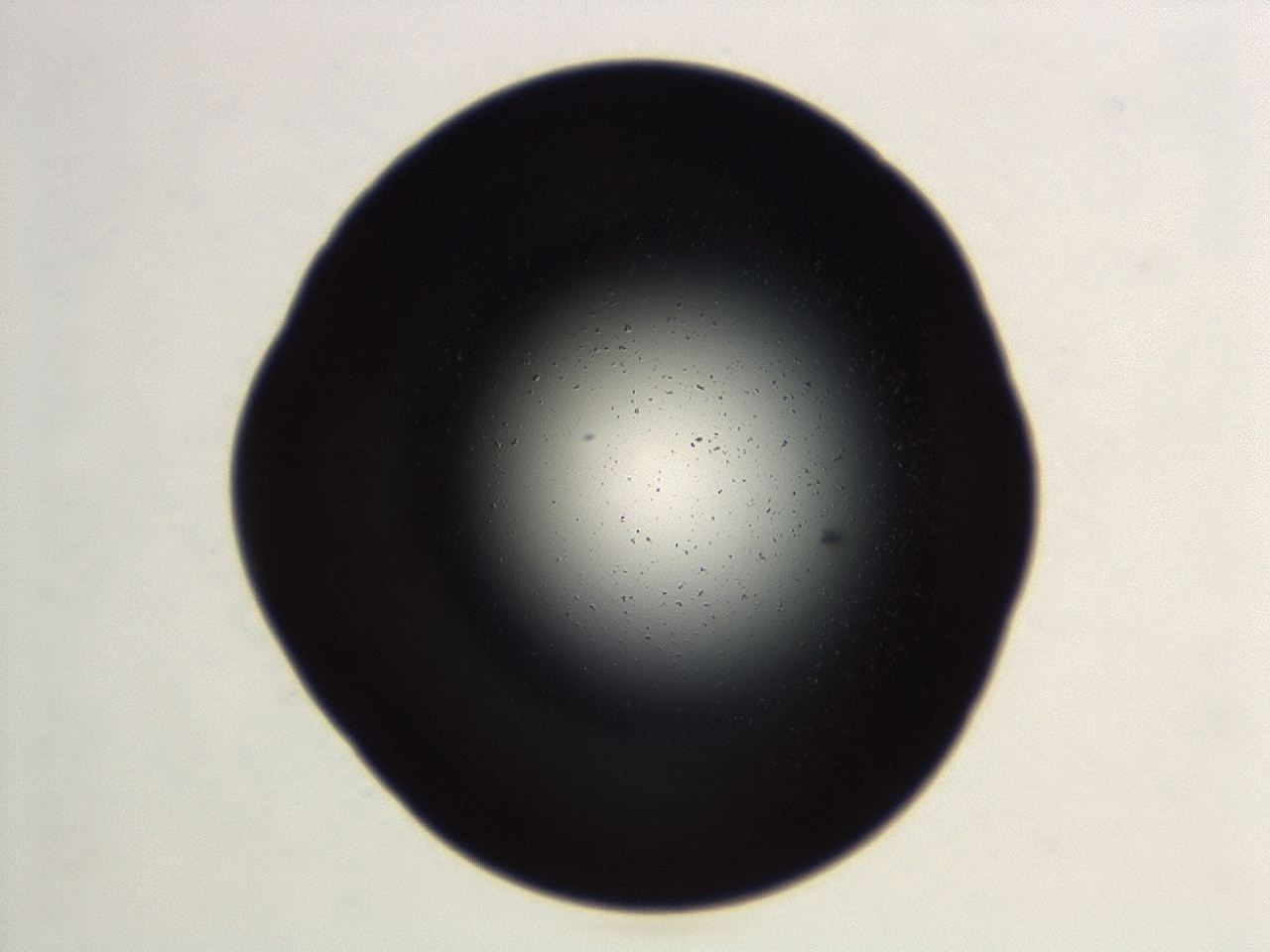 04es_E11_ImagerDefaults_0.jpg