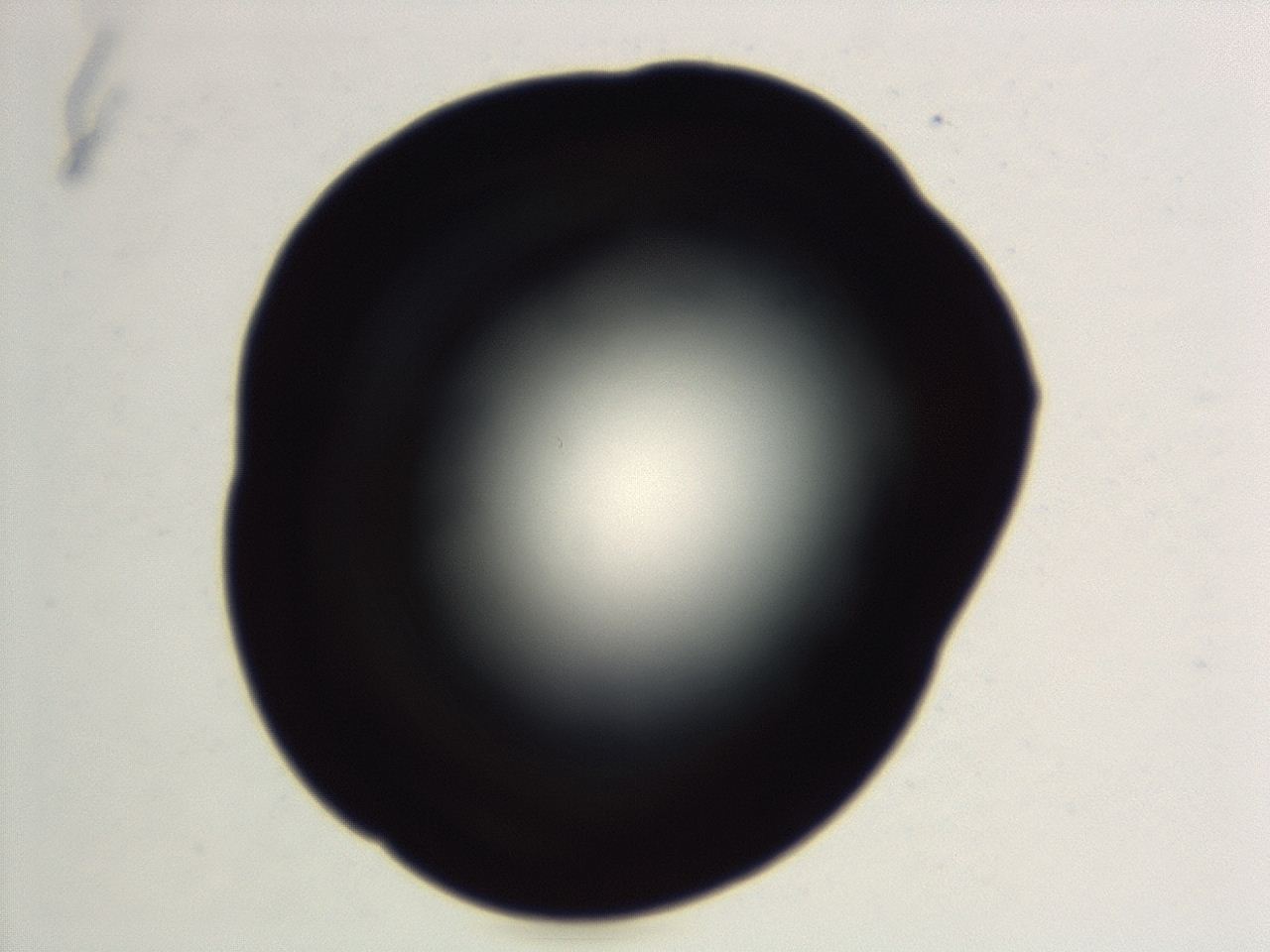 04es_F3_ImagerDefaults_0.jpg