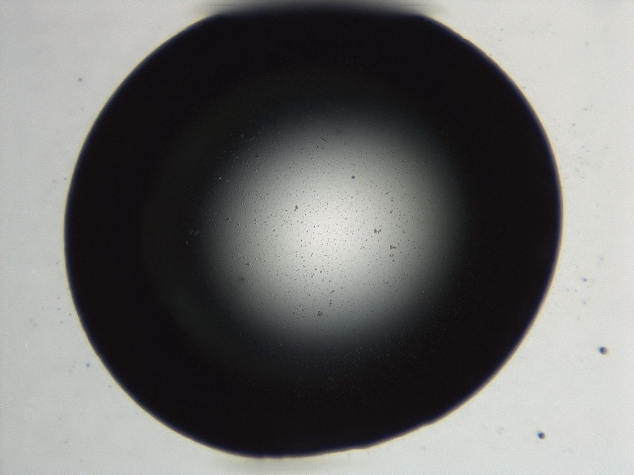 04es_F5_ImagerDefaults_0.jpg