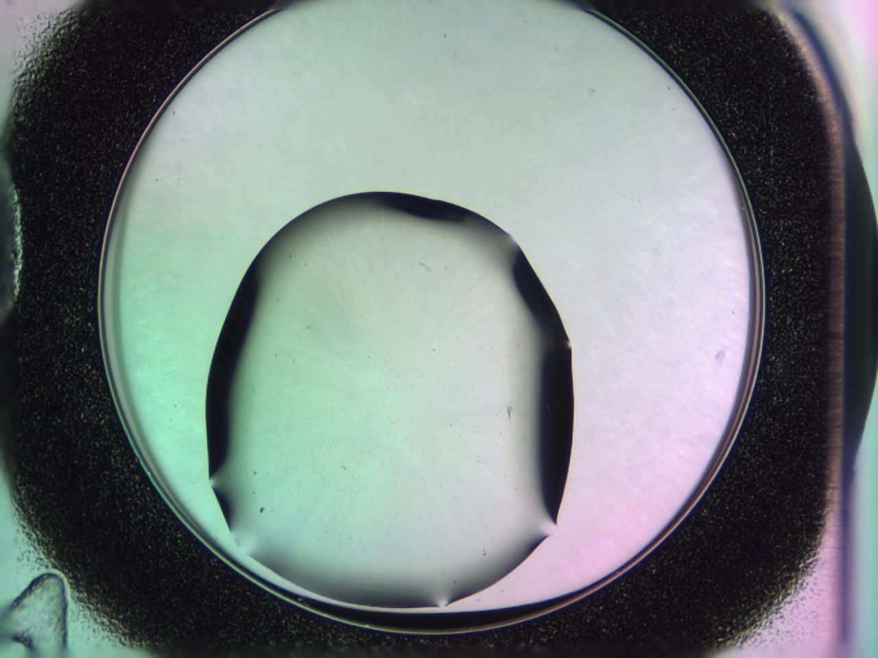 0172_D11_ImagerDefaults_0.jpg