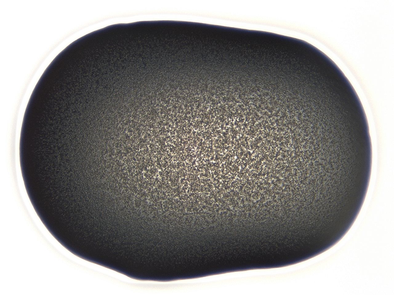 04es_A9_ImagerDefaults_3.jpg