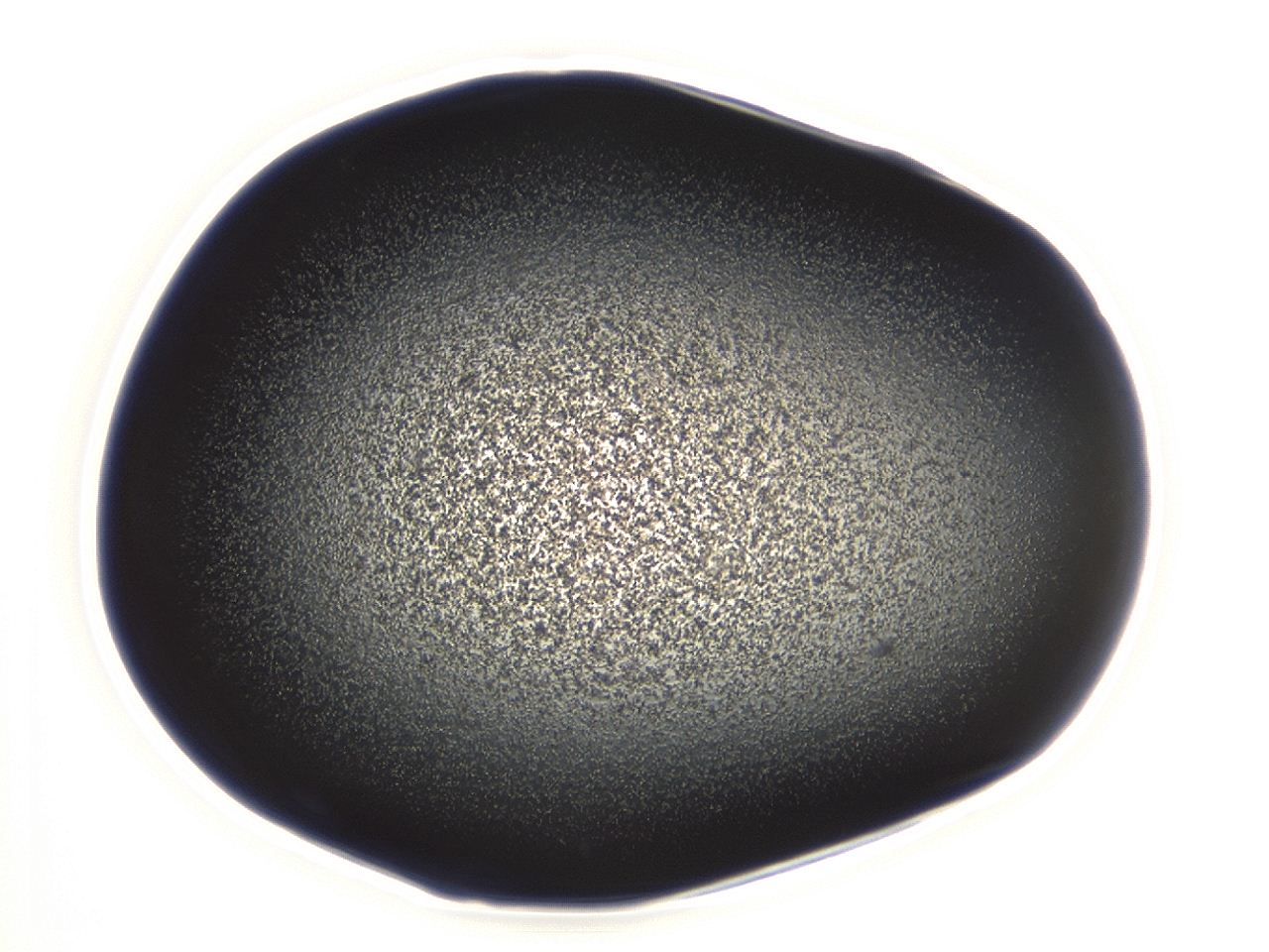 04es_A11_ImagerDefaults_3.jpg