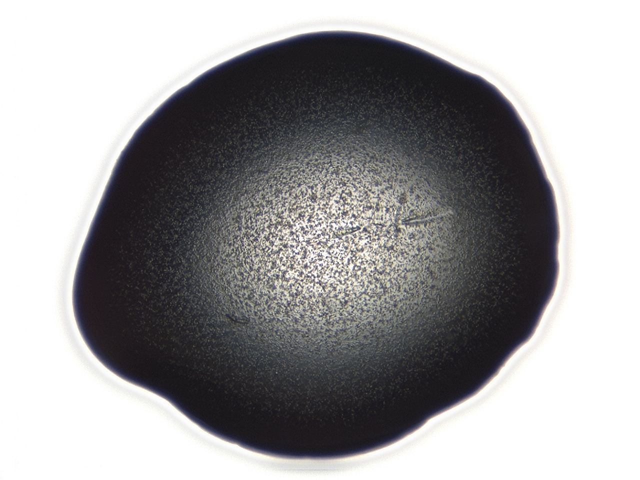 04es_A12_ImagerDefaults_3.jpg
