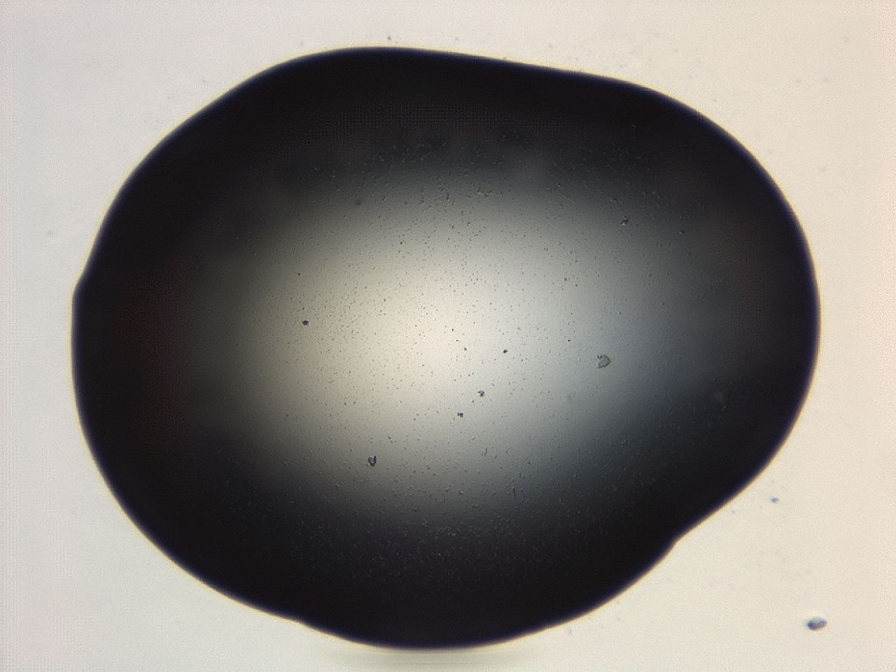 04es_B3_ImagerDefaults_0.jpg