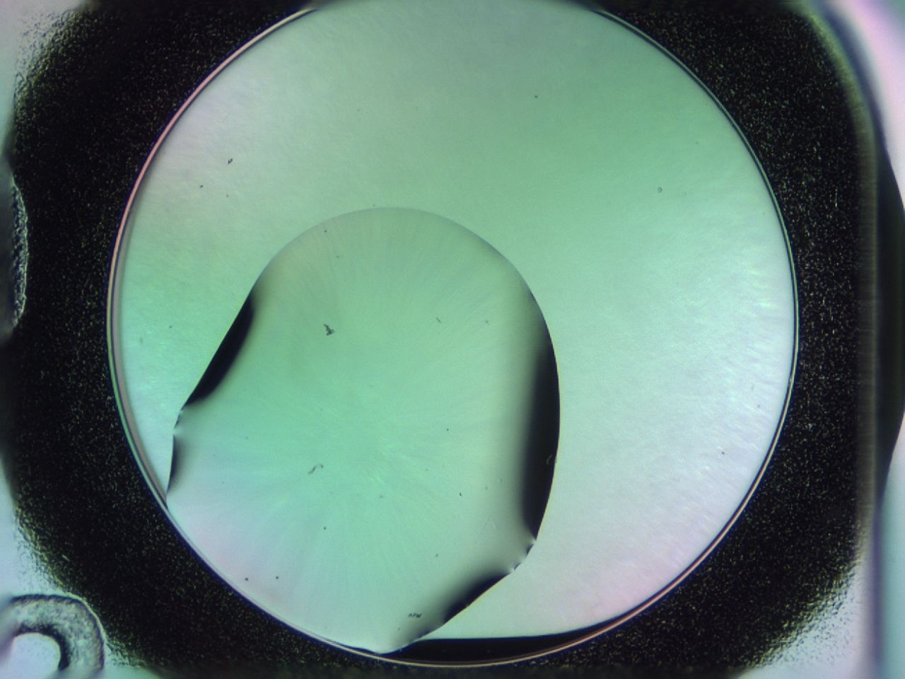 0172_D12_ImagerDefaults_0.jpg