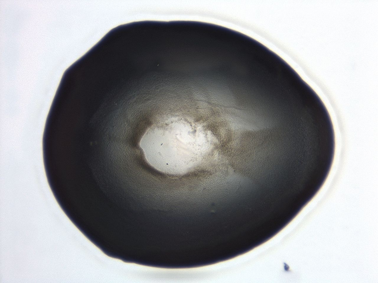 04es_B11_ImagerDefaults_3.jpg