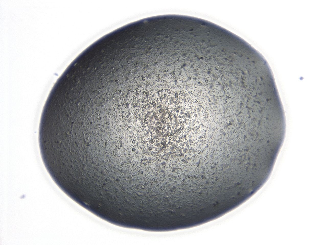 04es_B12_ImagerDefaults_8.jpg
